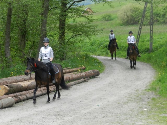 Rajd Mszana Górna 2015